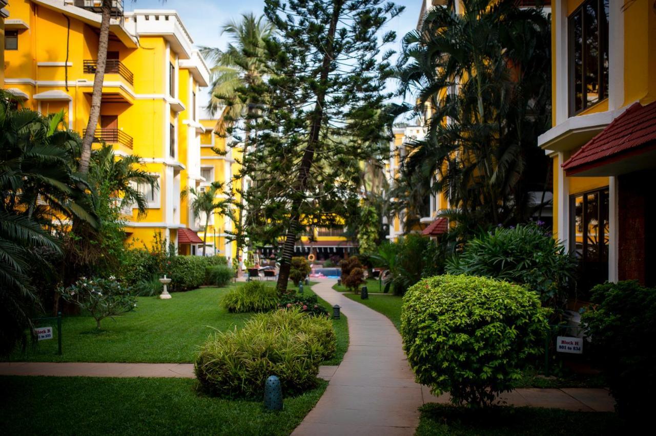 Adamo The Bellus Calangute Otel Dış mekan fotoğraf