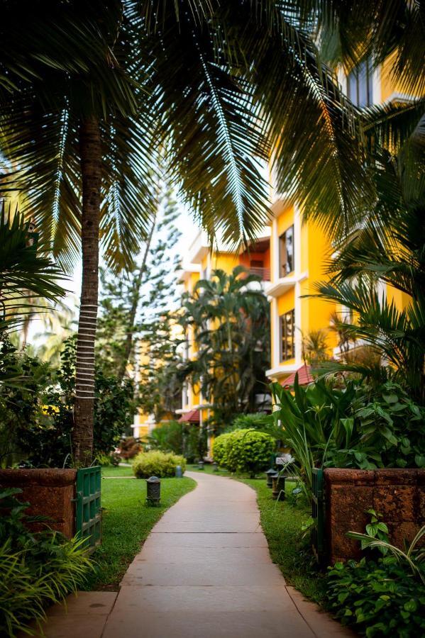 Adamo The Bellus Calangute Otel Dış mekan fotoğraf